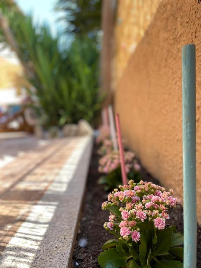 Yucca Daire Olbia Dış mekan fotoğraf