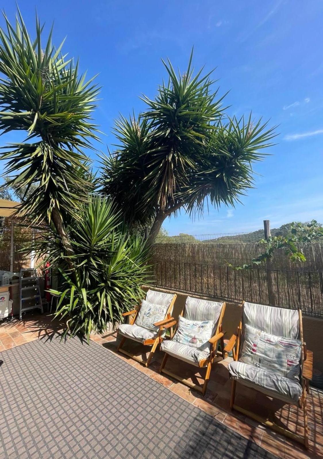 Yucca Daire Olbia Dış mekan fotoğraf